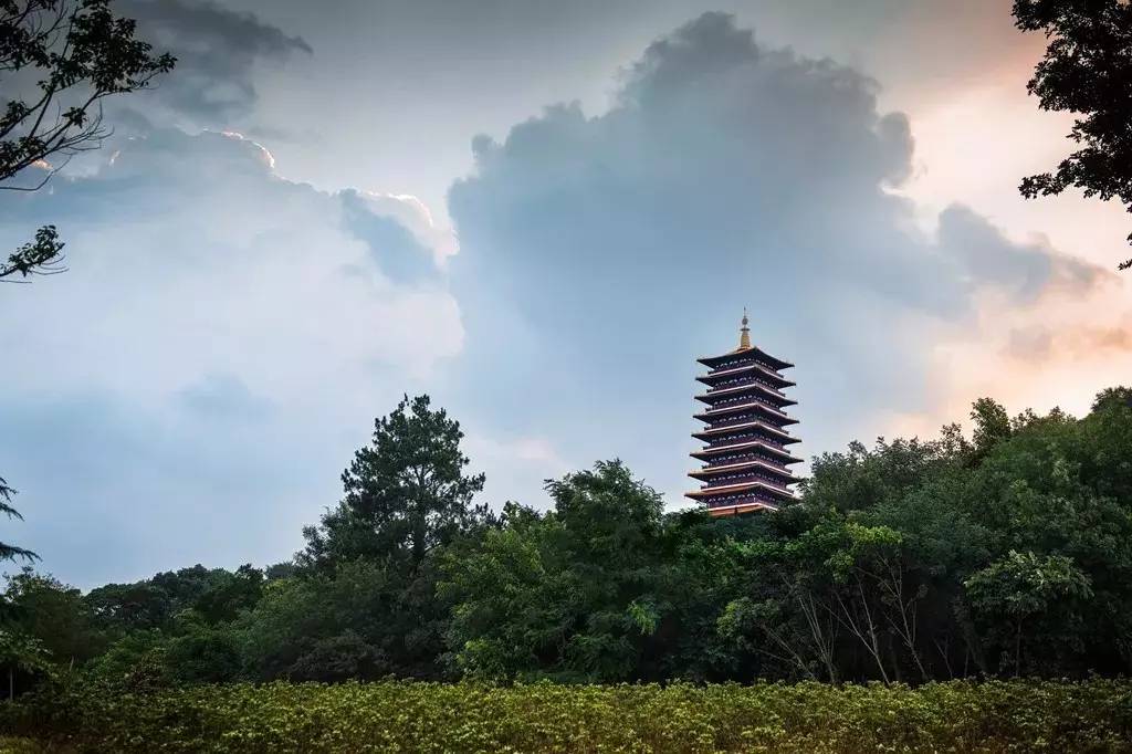 宝鸡春日旅游攻略，探索之旅启程！