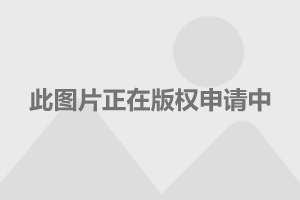 李玟头条新闻独家报道，揭秘其背后故事