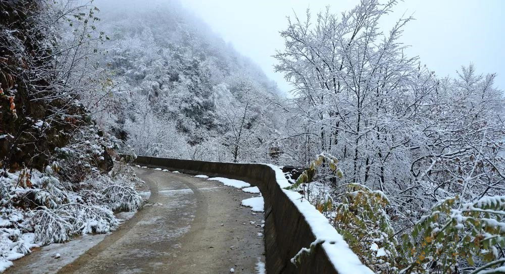 广元今日雪景实拍，绝美银装素裹，不容错过！