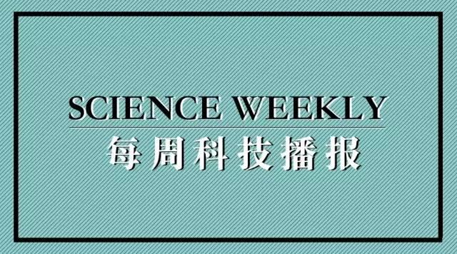 高塘最新新闻动态今日播报