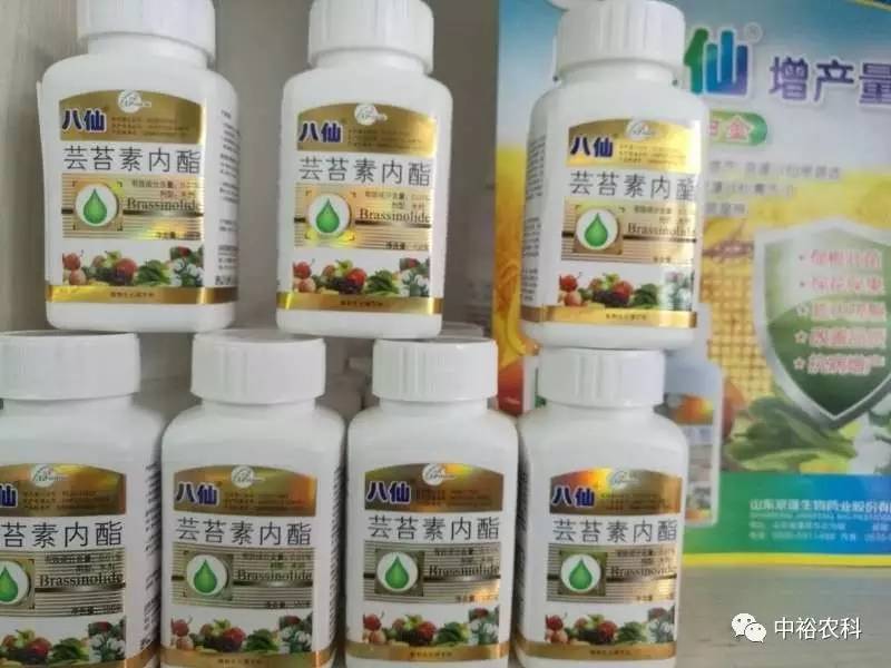 芸苔素内酯原药价格走势深度解析