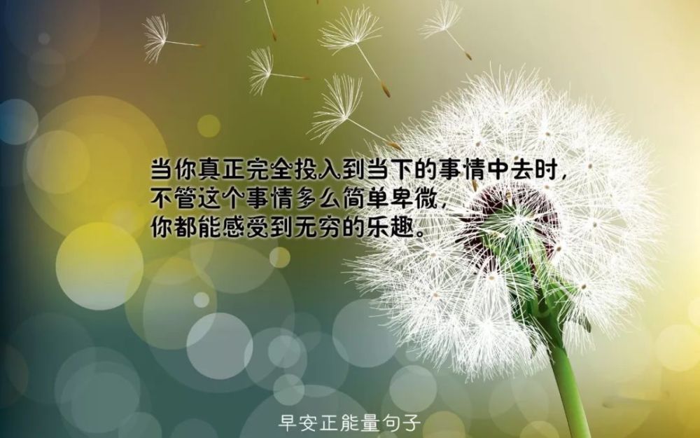 阳光励志语录，唯美短句振奋心灵