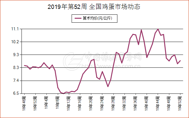 辽宁鸡蛋行情最新动态分析