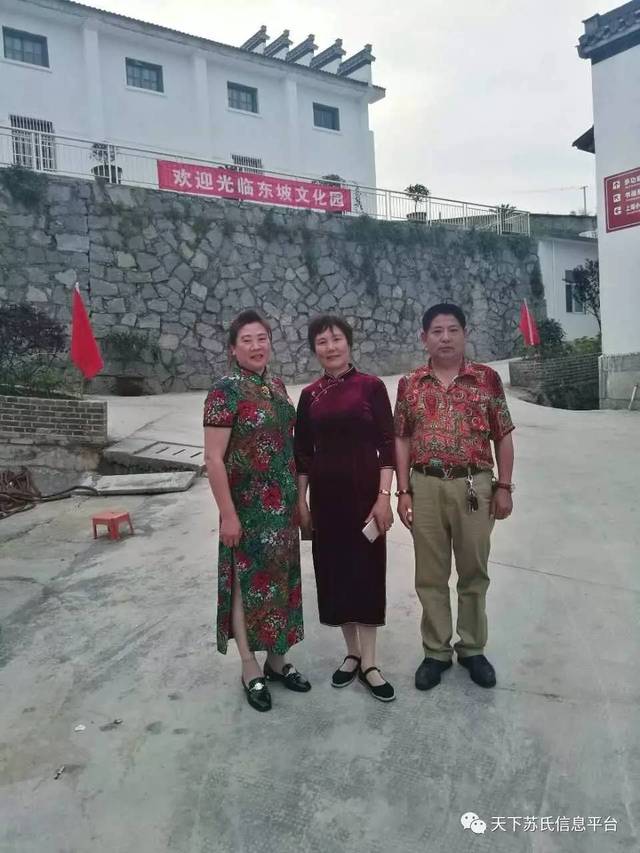 今日石鸡生态价值与市场动态的综合报道，最新消息一览