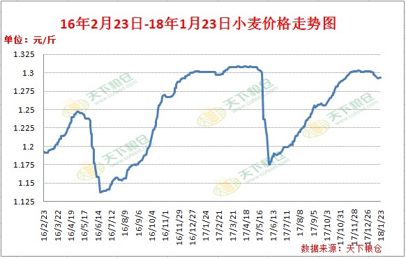 衡水小麦今日行情走势分析，最新价格动态解析