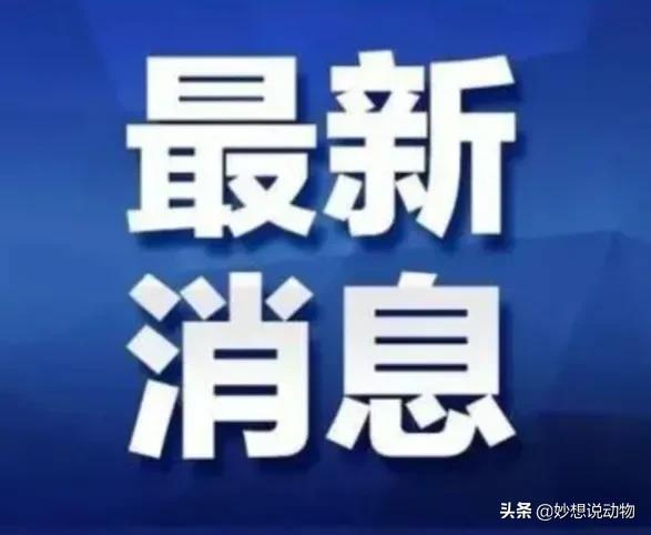 客家县最新新闻头条，不容错过的本地资讯！