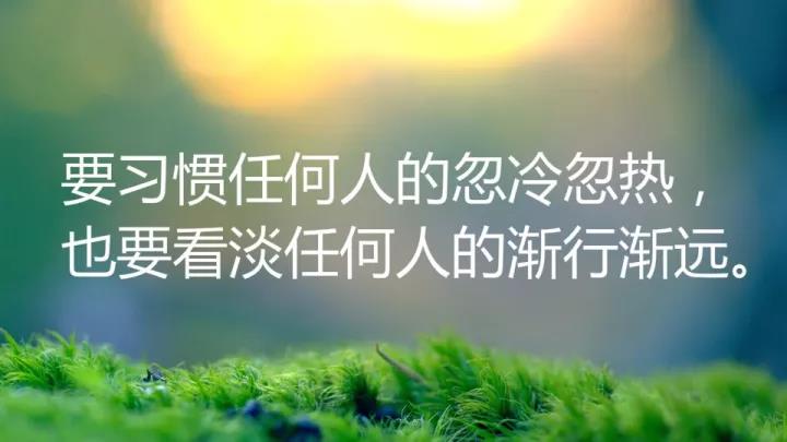 女人学佛的励志力量，智慧语录助你前行