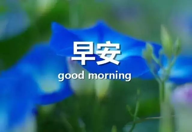 淑女励志语录，唤醒内在美，绽放独特魅力