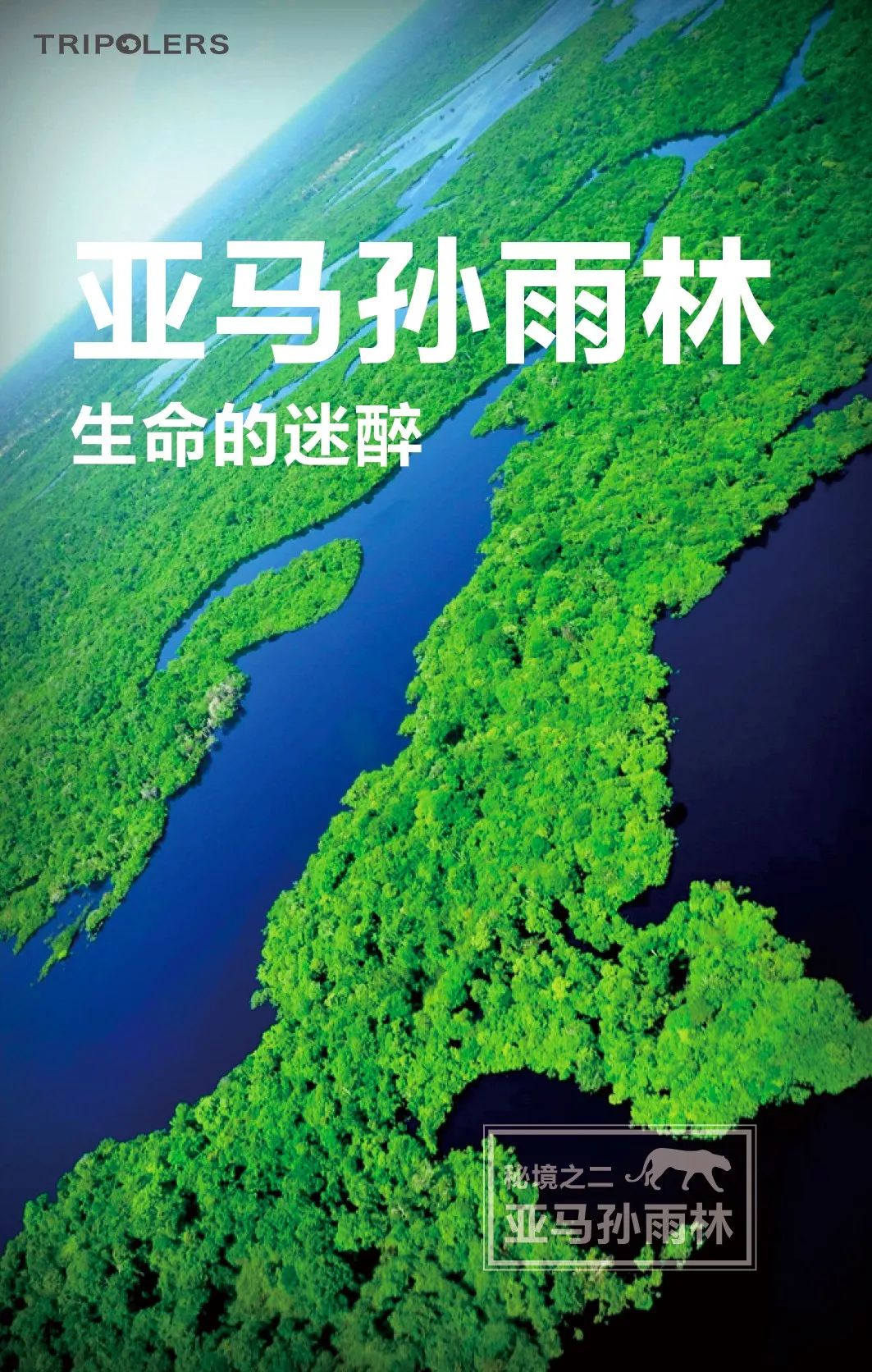 亚马孙雨林生态与经济巨变揭秘，深度新闻头条