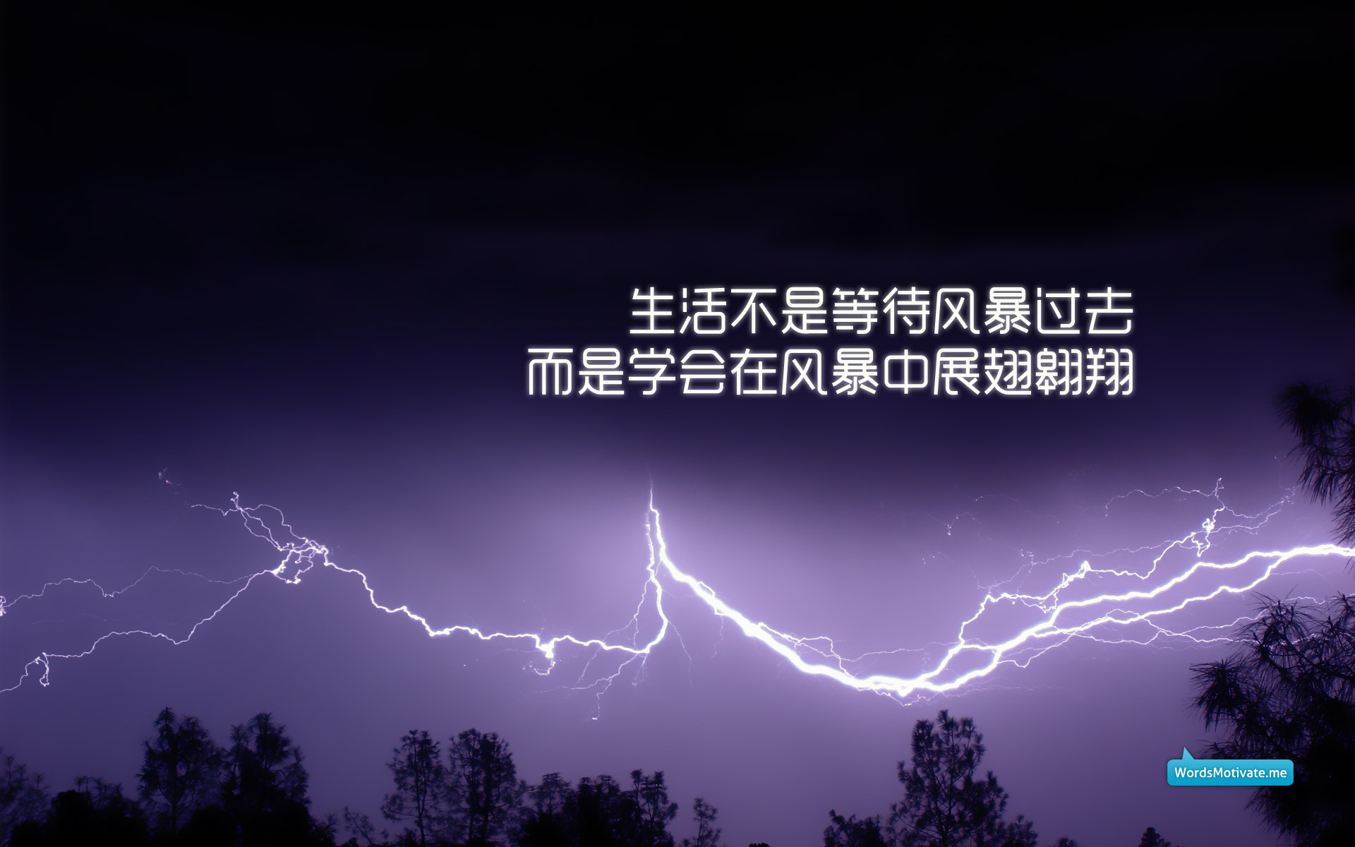 「心儿直播励志金句，青春燃烧，逐梦力量之源」