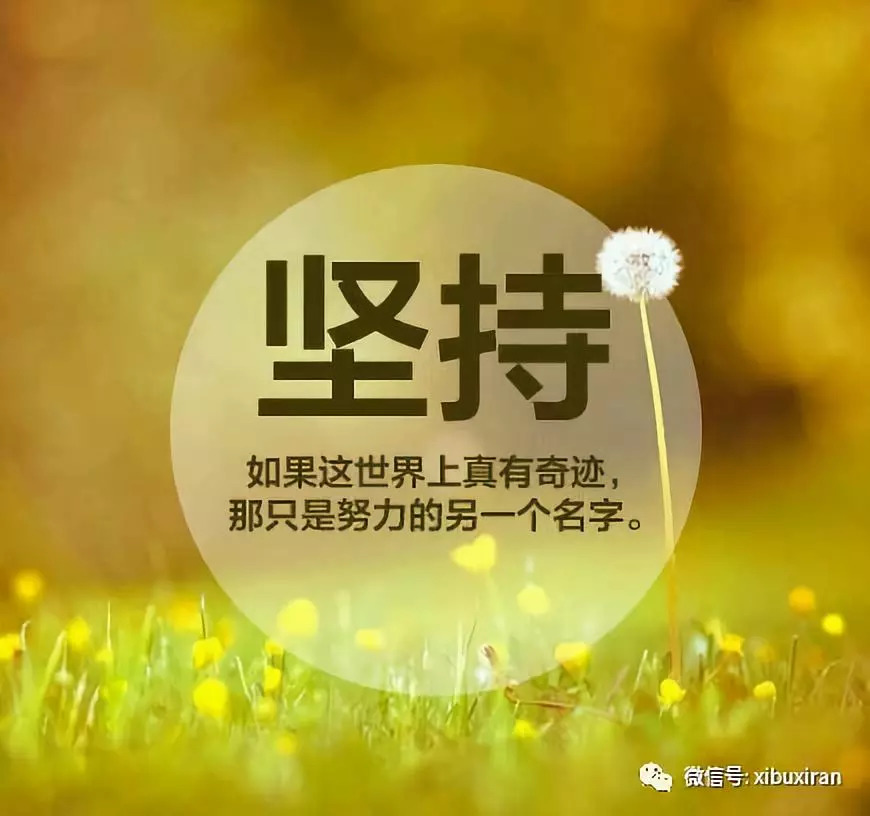 2025年5月17日